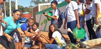 Escolas estaduais promovem conscientização ambiental no Dia da Árvore