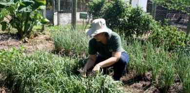 Ruraltins e parceiros promovem o VI Seminário de Agroecologia