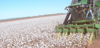Governo do Tocantins destaca crescimento de 2,1% do PIB do Estado