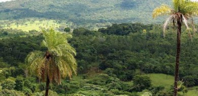 Tocantins reduz 34% do desmatamento no Estado em 2020