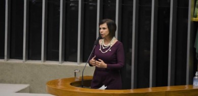 Com recurso de Dorinha, Casa da Mulher Brasileira será construída